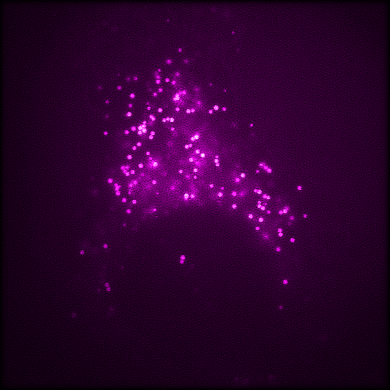 Modified Image