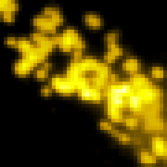Conventional bioluminescence image