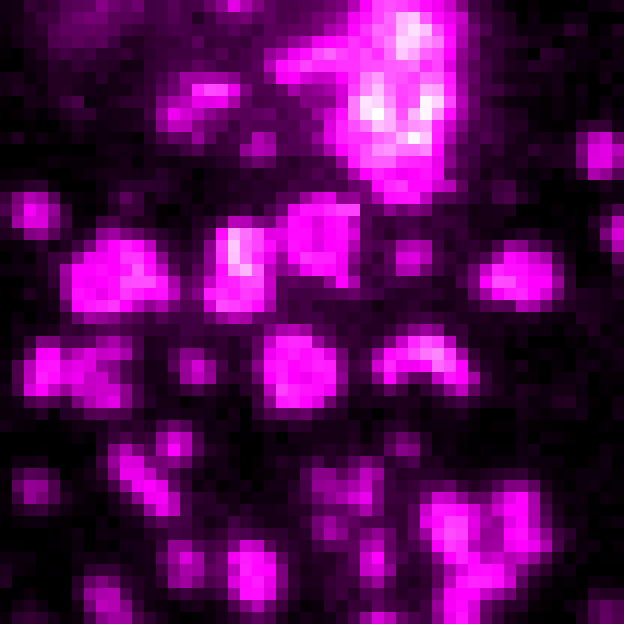 Conventional chemiluminescence image