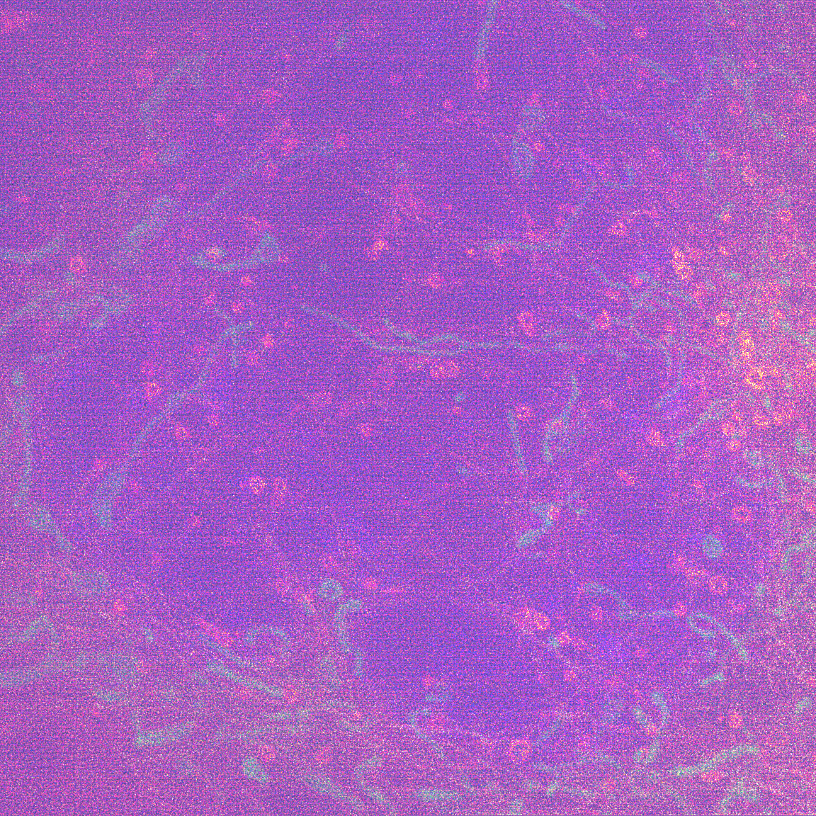 Modified Image