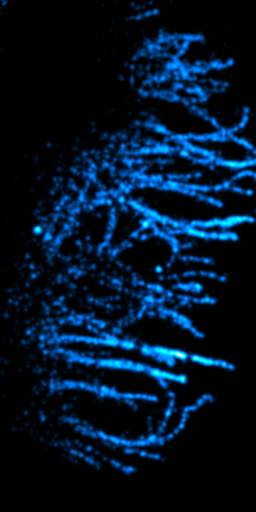 RIED electrochemiluminescence reconstruction