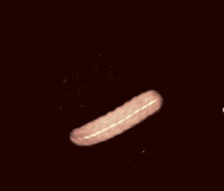 Modified Image