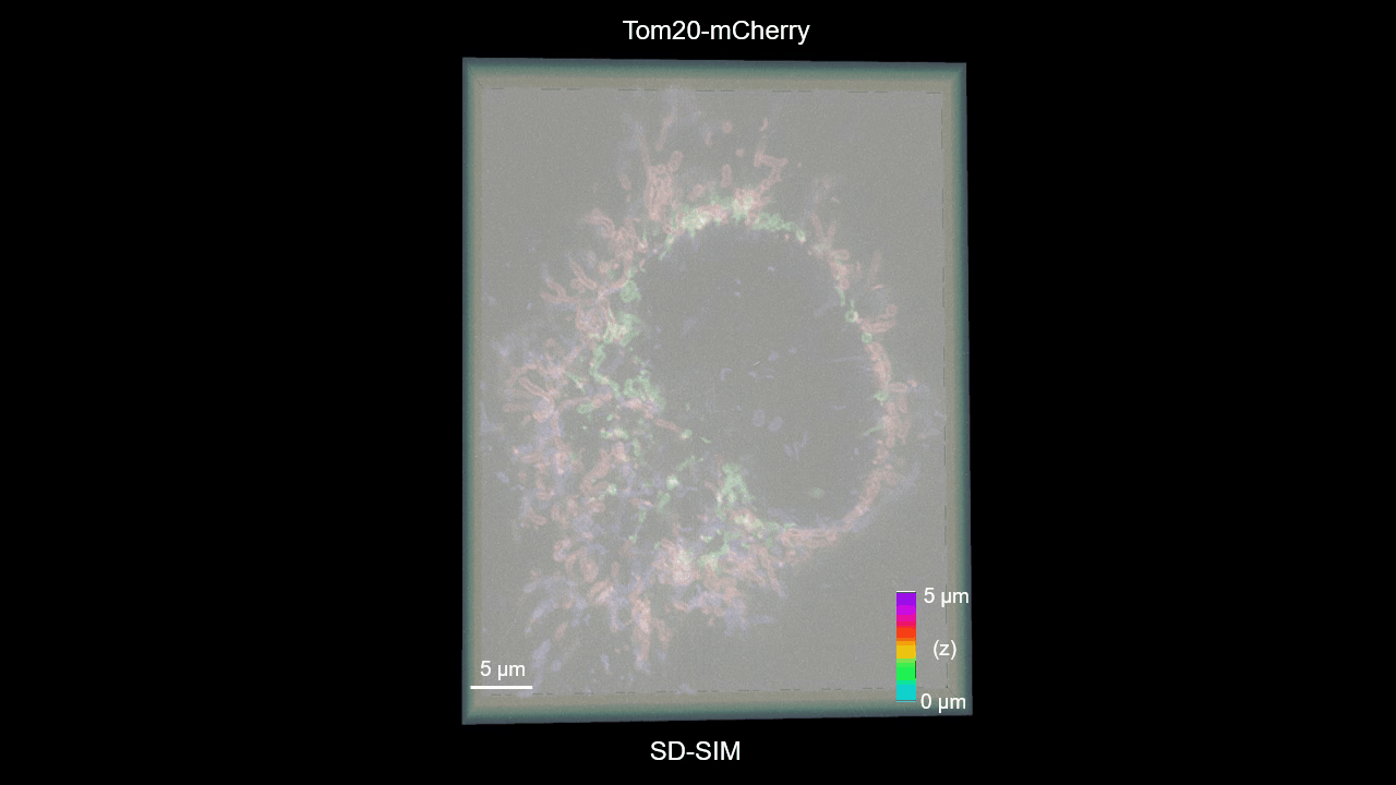Three-dimensional SN2N microscopy reconstruction
