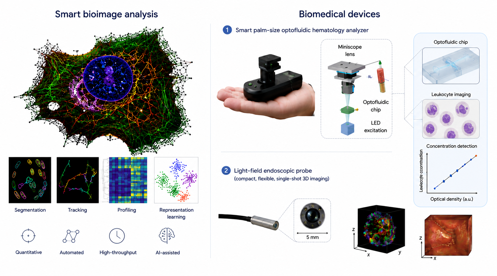 Smart bioimage analysis and biomedical devices