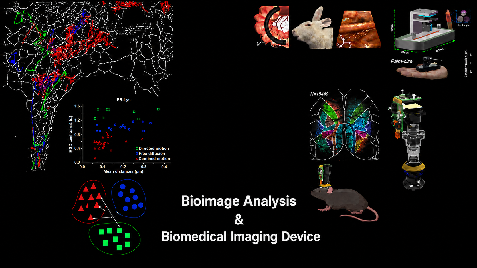 Bioimage analysis and biomedical imaging devices